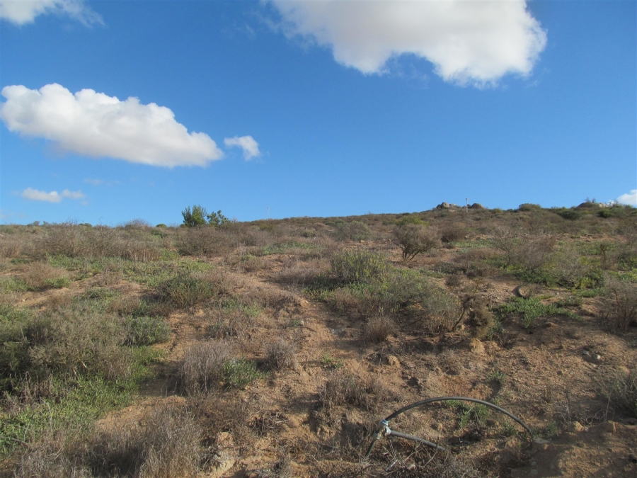 0 Bedroom Property for Sale in Britannica Heights Western Cape